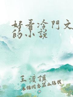 好看冷门文笔好的小说