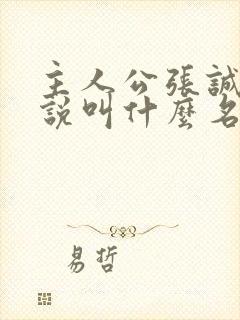 主人公张诚的小说叫什么名字