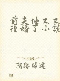 前夫他又又又想复婚了小说