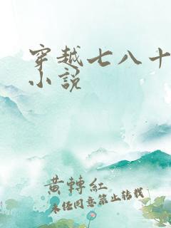 穿越七八十年代小说