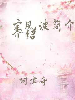 定风波简介剧情介绍