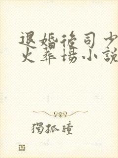 退婚后司少追妻火葬场小说无弹窗