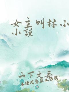 女主叫林小晚的小说