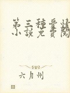 第三种爱情原著小说免费阅读