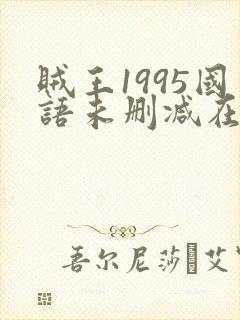 贼王1995国语未删减在线播放