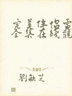 完美伴侣电视剧全集在线观看免费