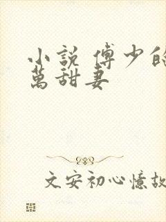 小说 傅少的亿万甜妻