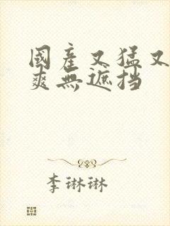 国产又猛又黄又爽无遮挡