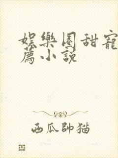 娱乐圈甜宠文推荐小说