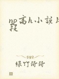 np高h小说片段