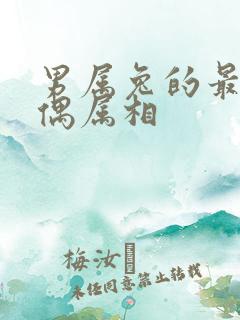 男属兔的最佳配偶属相