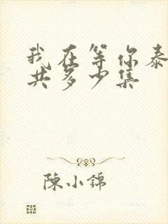 我在等你泰剧一共多少集