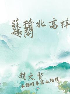 苏榆北高梓淇笔趣阁