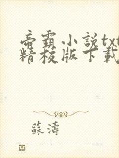 帝霸小说txt精校版下载