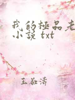 我的极品老婆 小说 txt