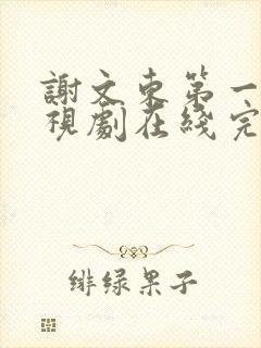 谢文东第一季电视剧在线完整免费