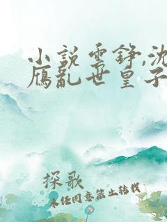 小说云铮,沈落雁乱世皇子