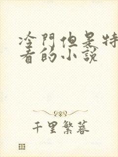 冷门但是特别好看的小说