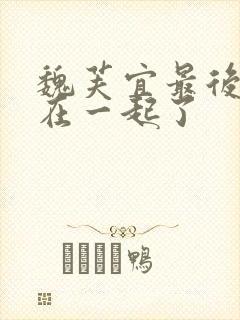 魏芙宜最后和谁在一起了