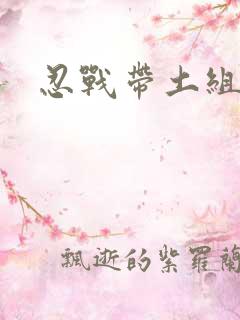 忍战带土组合技