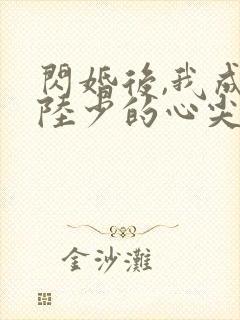 闪婚后,我成了陆少的心尖宠