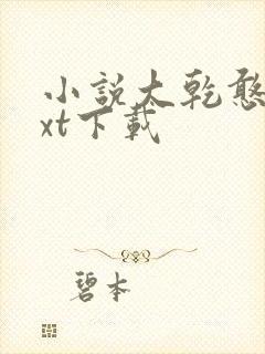 小说大乾憨婿txt下载