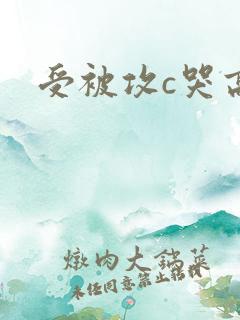 受被攻c哭高h
