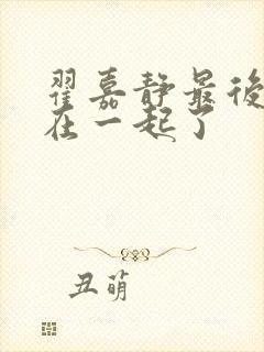 翟嘉静最后和谁在一起了