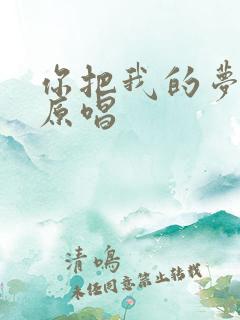 你把我的梦带走原唱