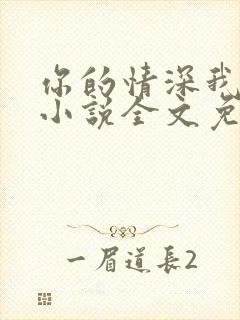 你的情深我不配小说全文免费阅读