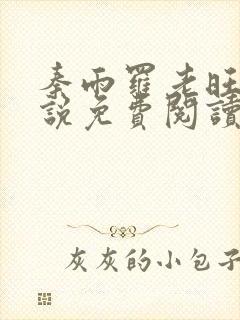 秦雨罗老旺的小说免费阅读