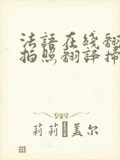 法语在线翻译器拍照翻译扫一扫