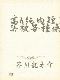 高h纯肉短篇合集被各种操批