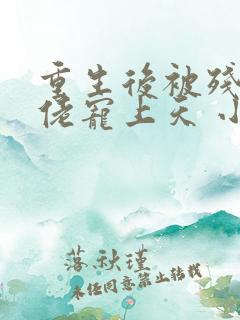 重生后被残疾大佬宠上天 小说下载