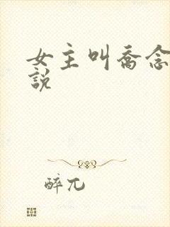 女主叫乔念的小说