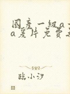 国产一级a一级a爰片免费无