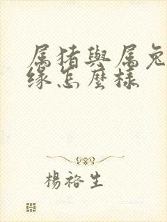 属猪与属兔的姻缘怎么样