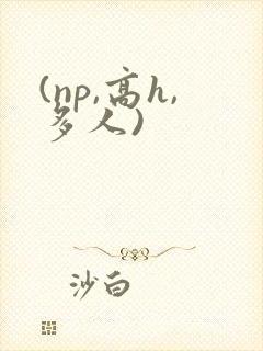 (np,高h,多人)