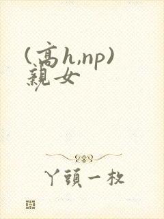 (高h,np)亲女