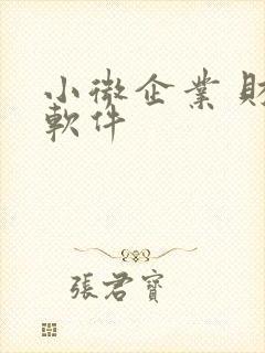 小微企业 财务软件