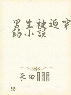 男生被迫穿女装的小说