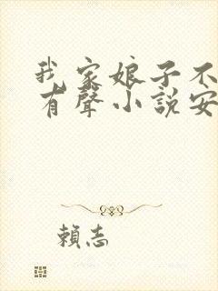 我家娘子不对劲有声小说安然