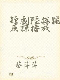 短剧陆总跪着求原谅播放