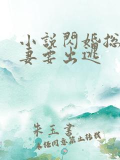 小说闪婚总裁甜妻要出逃