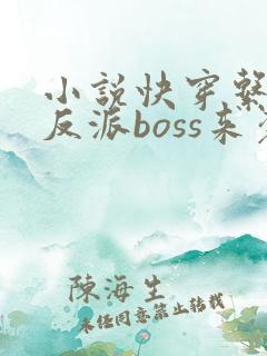 小说快穿系统之反派boss来袭