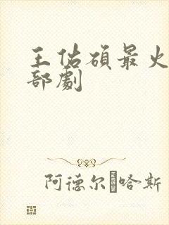 王佑硕最火的三部剧