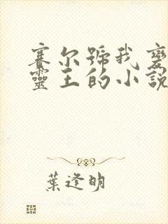 赛尔号我变成五灵王的小说