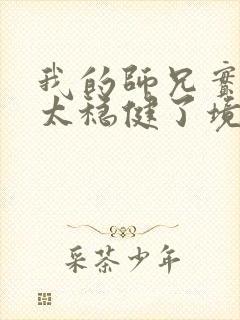 我的师兄实在是太稳健了境界排行