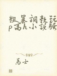 粗暴调教玩弄np高h小说骚受