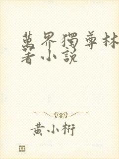 万界独尊林枫原著小说